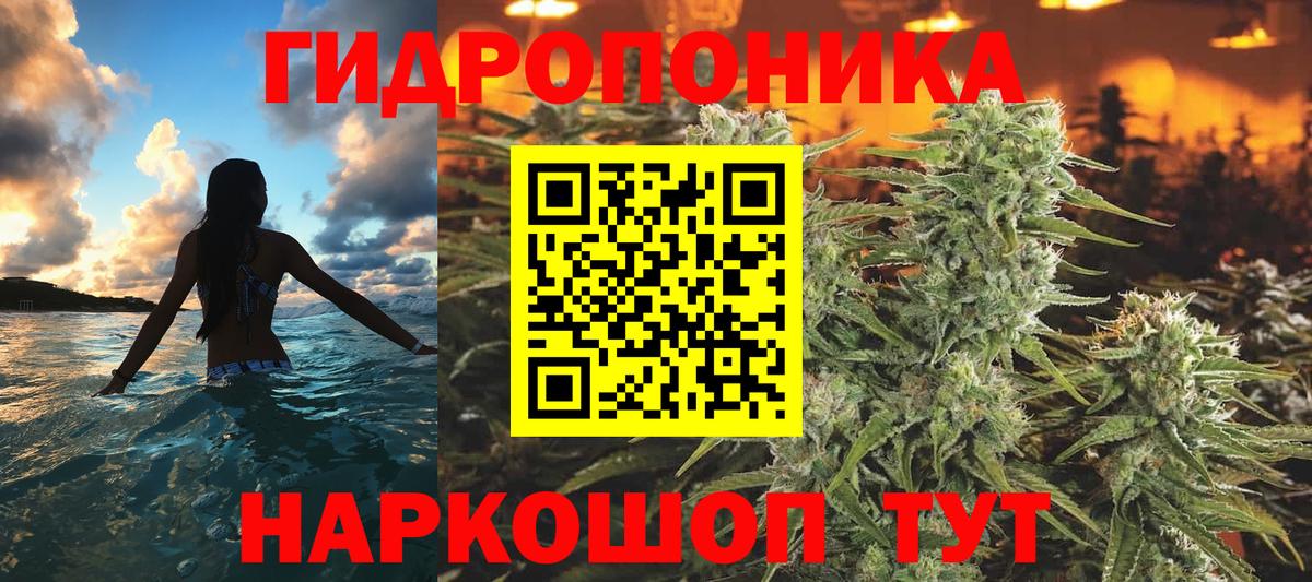 МАРИХУАНА ГИДРОПОН Мурино